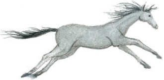 Волшебные сказки Ингушетии - i_064.png