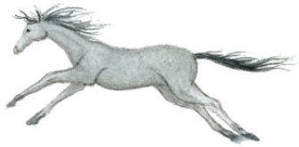 Волшебные сказки Ингушетии - i_072.png