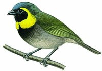 Старушки с зонтиками  - i_044.jpg