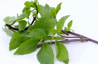 Старушки с зонтиками  - i_047.jpg