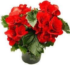 Старушки с зонтиками  - i_048.jpg