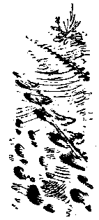 Таких щадить нельзя (Худ. С. Марфин) - pic_5.png