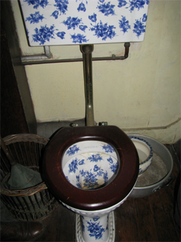 Свет! Больше света! Викторианская медицина с доктором Ватсоном - i_034.png