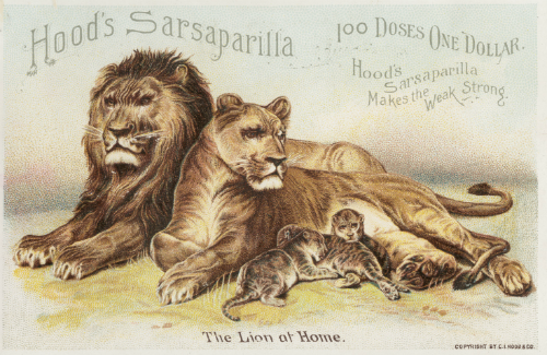 Свет! Больше света! Викторианская медицина с доктором Ватсоном - i_045.png