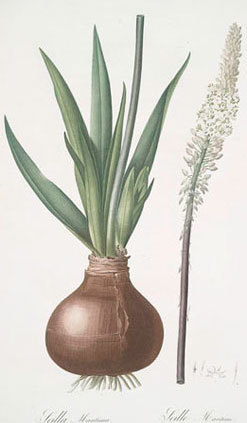 Свет! Больше света! Викторианская медицина с доктором Ватсоном - i_052.jpg