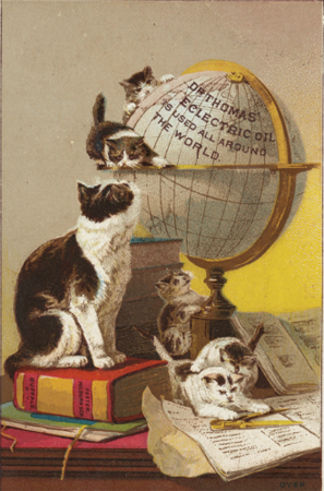 Свет! Больше света! Викторианская медицина с доктором Ватсоном - i_064.png