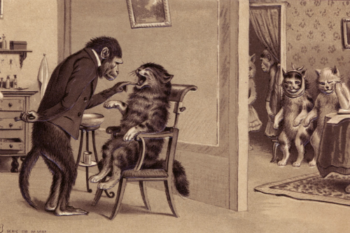 Свет! Больше света! Викторианская медицина с доктором Ватсоном - i_069.png