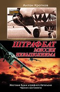 Серия книг Военный штрафбат