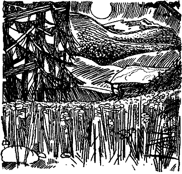 Пистоль Довбуша - i_005.png