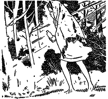 Пистоль Довбуша - i_008.png