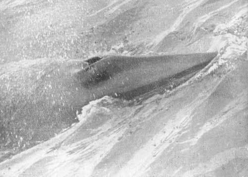 Тихоокеанские румбы - photo11.jpg