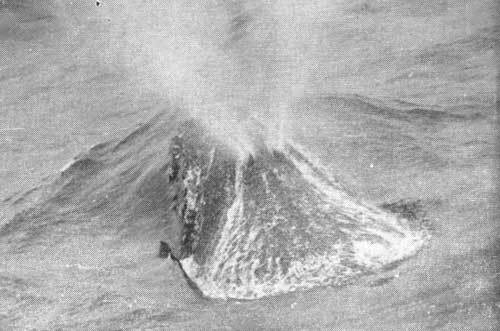 Тихоокеанские румбы - photo15.jpg