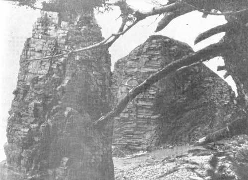 Тихоокеанские румбы - photo21.jpg