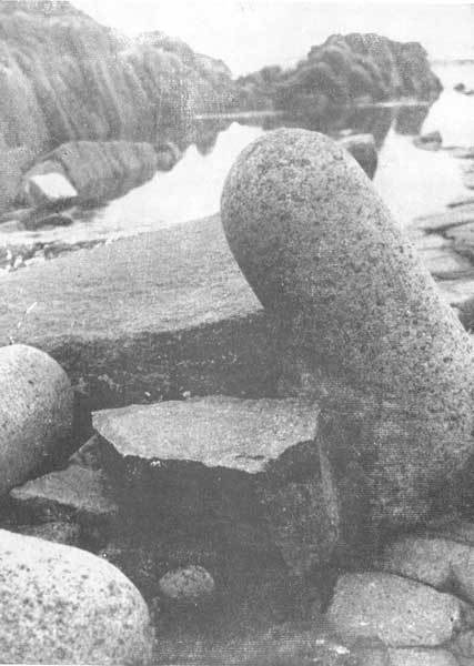 Тихоокеанские румбы - photo22.jpg