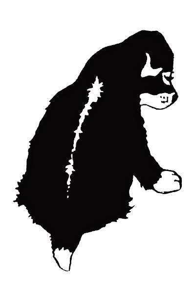 Мой друг Сенька - _01.jpg