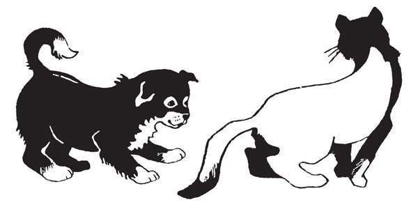 Мой друг Сенька - _0304.jpg