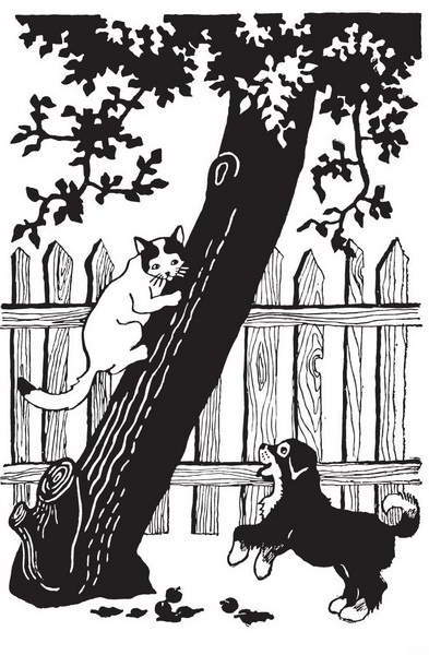 Мой друг Сенька - _05.jpg