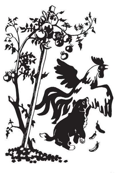 Мой друг Сенька - _06.jpg