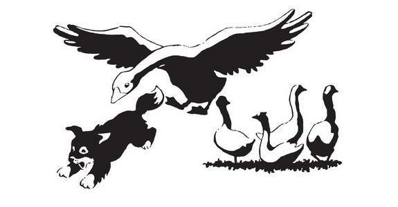 Мой друг Сенька - _07.jpg