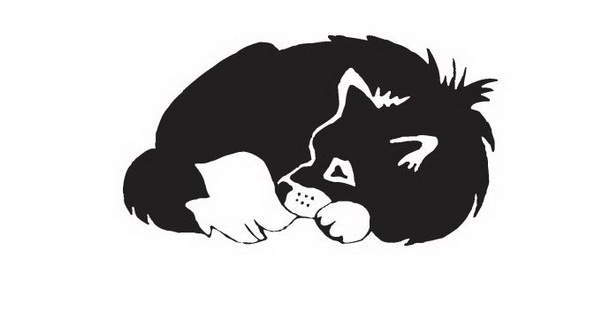 Мой друг Сенька - _13.jpg