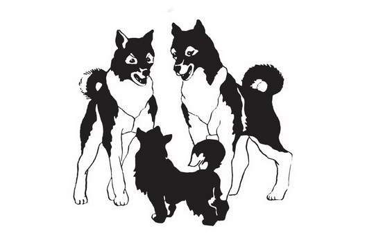 Мой друг Сенька - _14.jpg