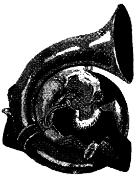 Том 1. Двенадцать стульев - i_012.png