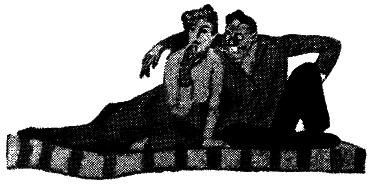 Том 1. Двенадцать стульев - i_034.png