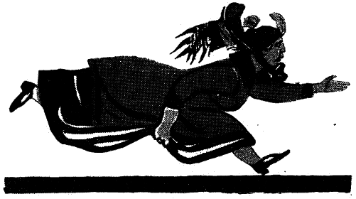 Том 1. Двенадцать стульев - i_046.png