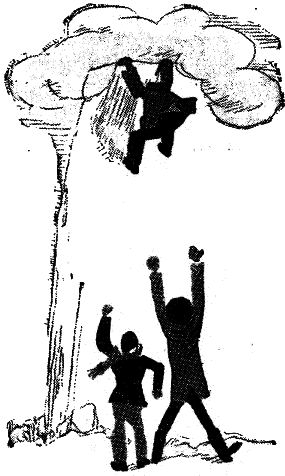 Том 1. Двенадцать стульев - i_063.png