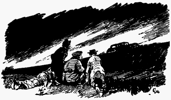 Том 2. Золотой теленок - i_011.png