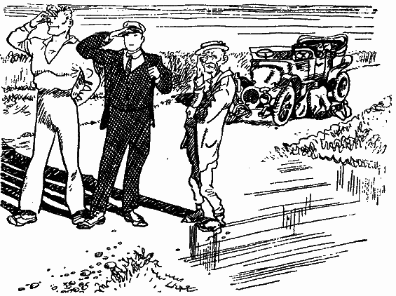 Том 2. Золотой теленок - i_037.png