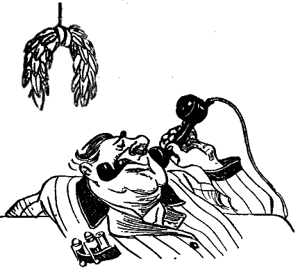 Том 2. Золотой теленок - i_062.png