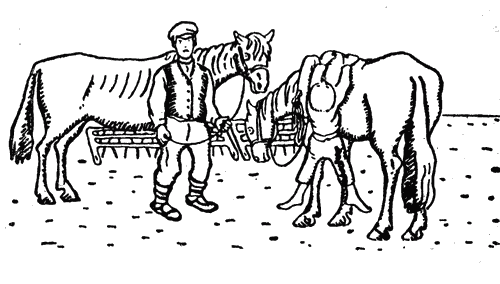 Белая книга - i_021.png