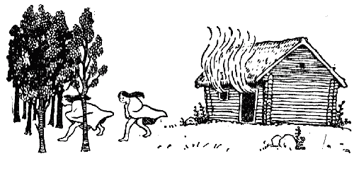 Белая книга - i_028.png