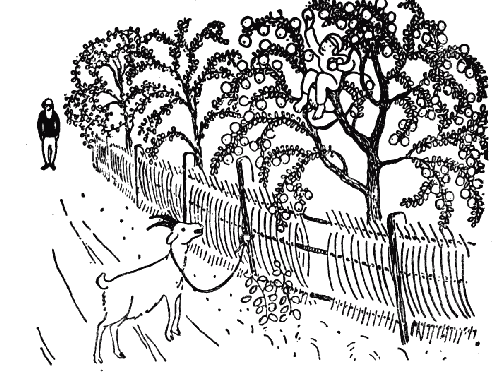 Белая книга - i_043.png