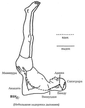 Древние тантрические техники йоги и крийи. Мастер-курс - image002.png