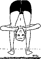 Древние тантрические техники йоги и крийи. Мастер-курс - image011.png