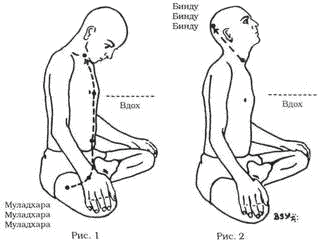 Древние тантрические техники йоги и крийи. Мастер-курс - image019.png