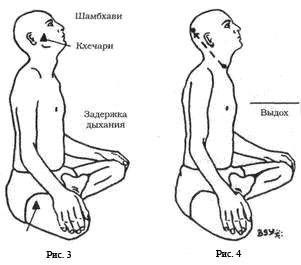Древние тантрические техники йоги и крийи. Мастер-курс - image020.png