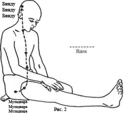 Древние тантрические техники йоги и крийи. Мастер-курс - image022.png