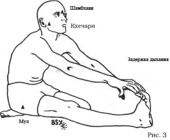 Древние тантрические техники йоги и крийи. Мастер-курс - image023.png