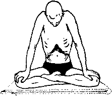 Древние тантрические техники йоги и крийи. Продвинутый курс - image059.png