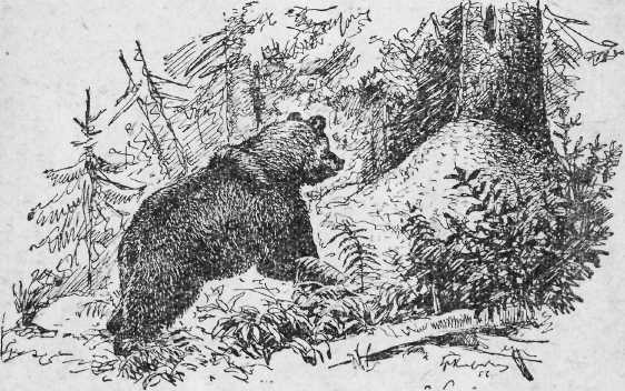 Охота на хищных зверей - i_001.jpg