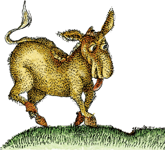 Волшебные сказки Испании - i_058.png