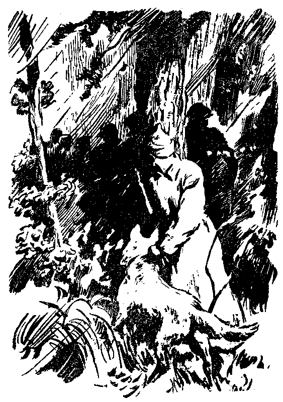 Снежный человек (илл. И. Архипова) - pic_12.png