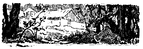 Снежный человек (илл. И. Архипова) - pic_14.png