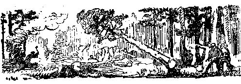 Снежный человек (илл. И. Архипова) - pic_28.png