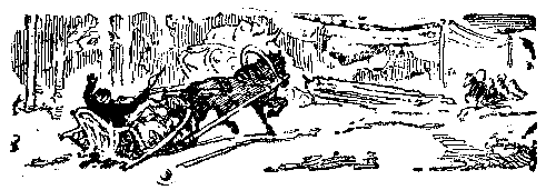 Снежный человек (илл. И. Архипова) - pic_37.png