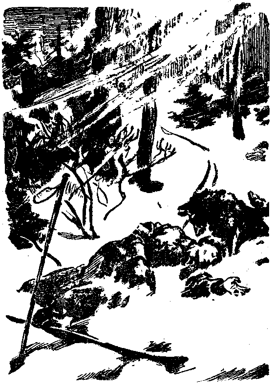 Снежный человек (илл. И. Архипова) - pic_44.png