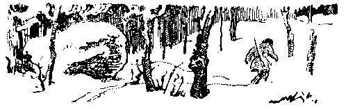 Снежный человек (илл. И. Архипова) - pic_46.png